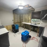 WFM Emergency Services ico