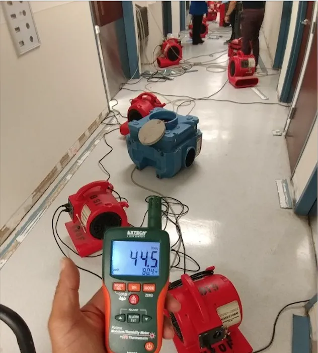 United Restoration Picture 6