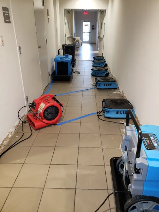 United Restoration Picture 7