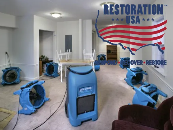 Restoration USA Picture 1