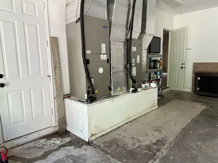 Moldman Boca Raton Picture 4