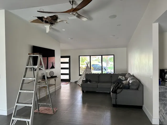 Moldman Boca Raton Picture 5