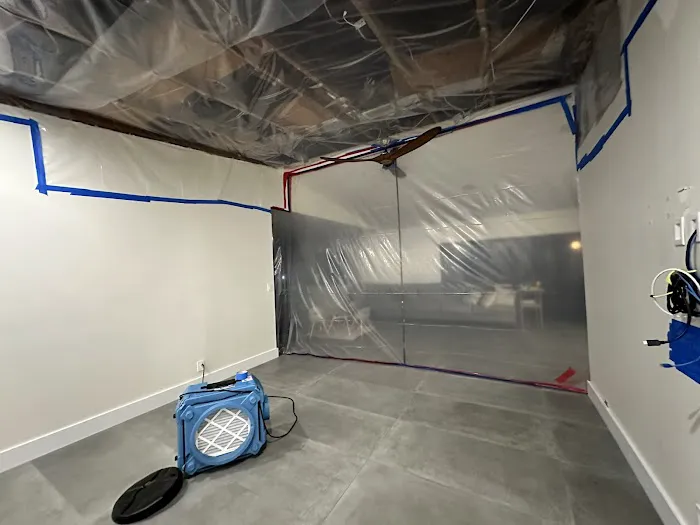 Moldman Boca Raton Picture 7