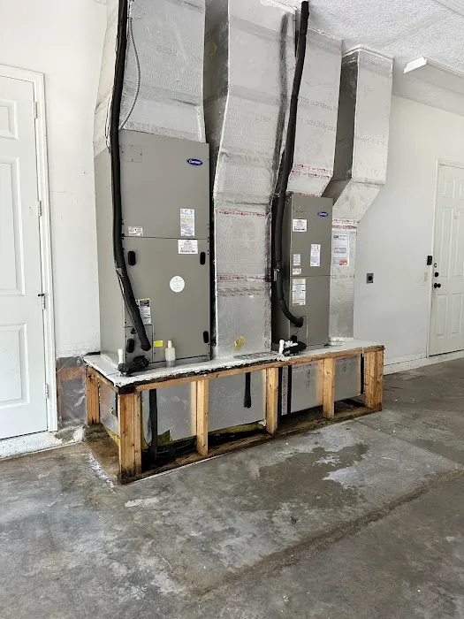 Moldman Boca Raton Picture 8