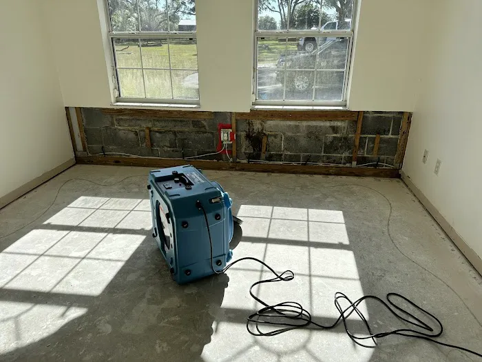 Moldman Boca Raton Picture 6