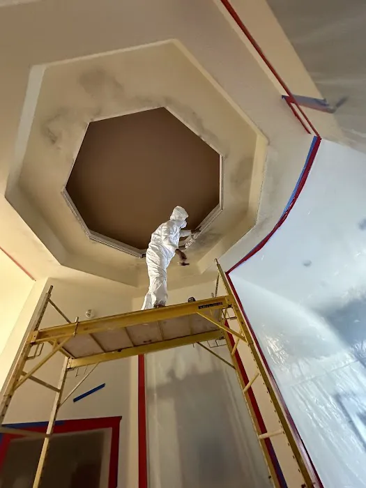 Moldman Boca Raton Picture 10