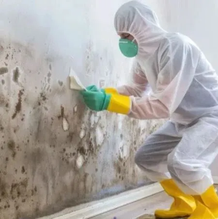 Pompano Beach Water Damage Restoration Company Picture 6