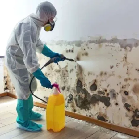 Pompano Beach Water Damage Restoration Company Picture 8