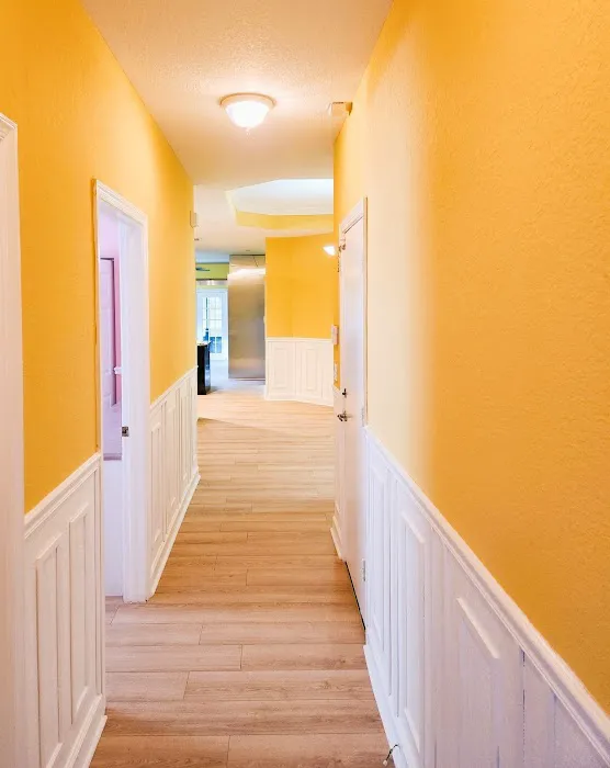 National Restoration Experts Picture 9