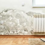 Coral Springs Ultimate Mold removal