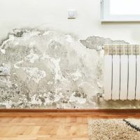 Coral Springs Ultimate Mold removal ico