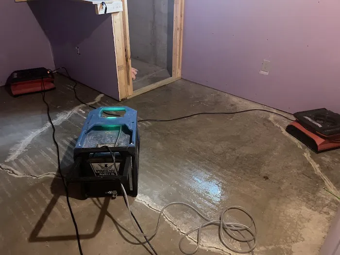 Coral Springs Ultimate Mold removal Picture 2