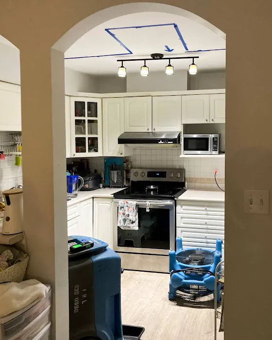 Coral Springs Ultimate Mold removal Picture 4