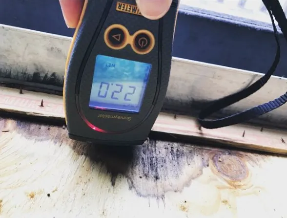 Coral Springs Ultimate Mold removal Picture 8