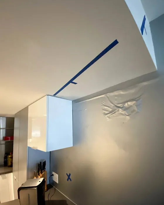 Grey Summit Water Restoration Picture 4