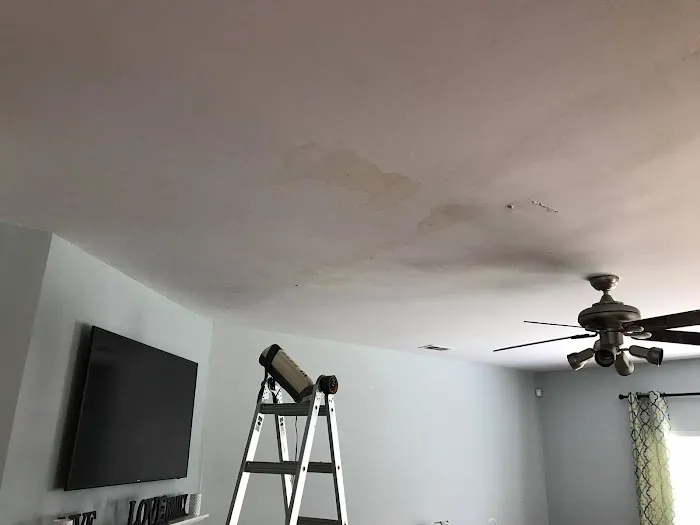 Grey Summit Water Restoration Picture 1