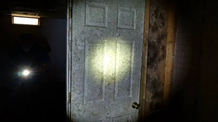 Grey Summit Water Restoration Picture 7