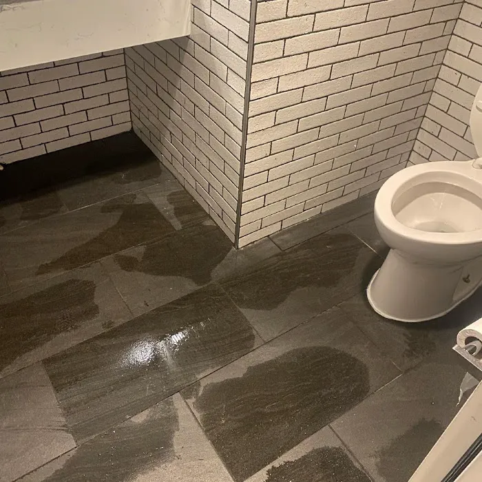 Grey Summit Water Restoration Picture 6