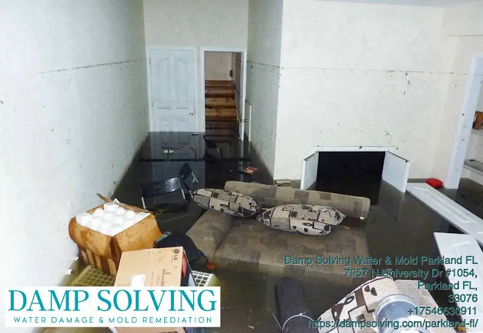 Damp Solving Water & Mold Picture 1