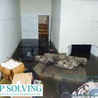 Damp Solving Water & Mold ico