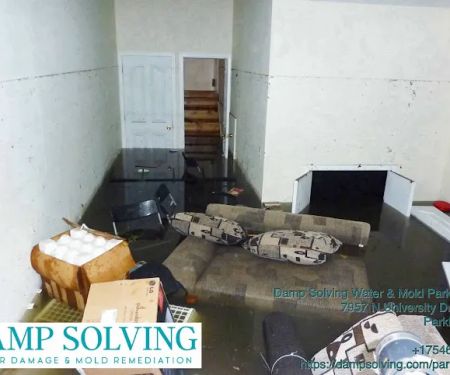 Damp Solving Water & Mold