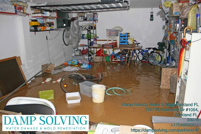 Damp Solving Water & Mold Picture 2