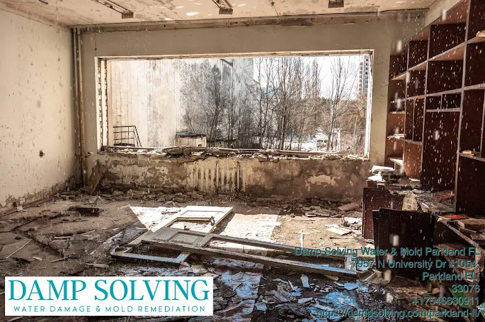 Damp Solving Water & Mold Picture 5