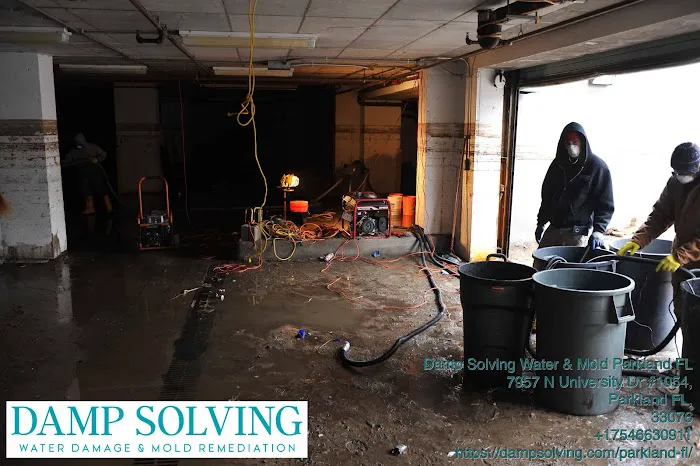 Damp Solving Water & Mold Picture 6