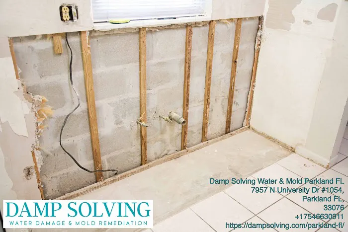 Damp Solving Water & Mold Picture 7