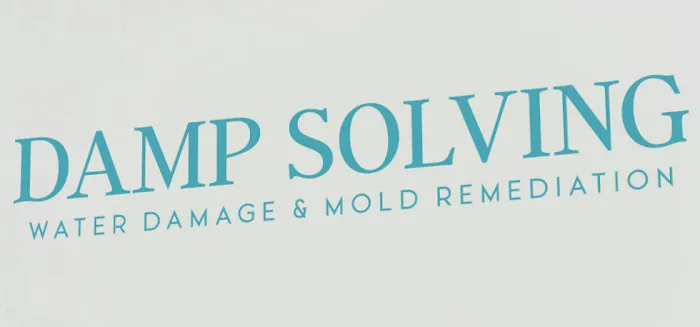 Damp Solving Water & Mold Picture 9