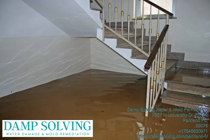 Damp Solving Water & Mold Picture 8