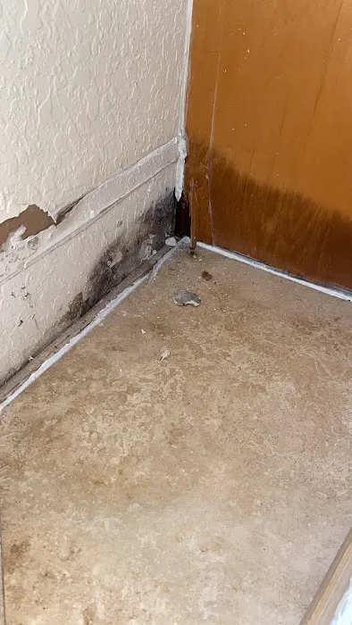 MVP Environmental Picture 5