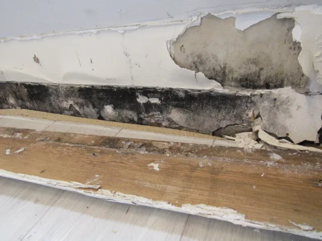 A.S.A.P. Restoration Corp. Picture 6