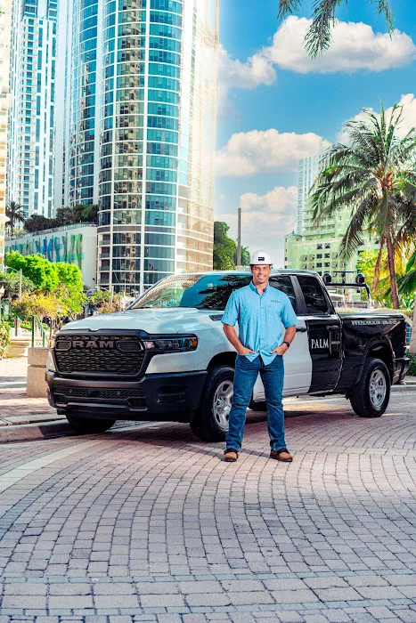 PALM BUILD Picture 2