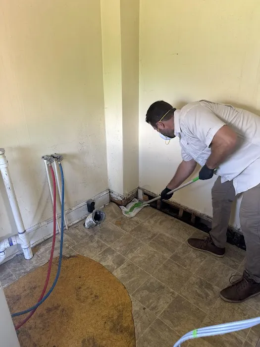 PALM BUILD Picture 7