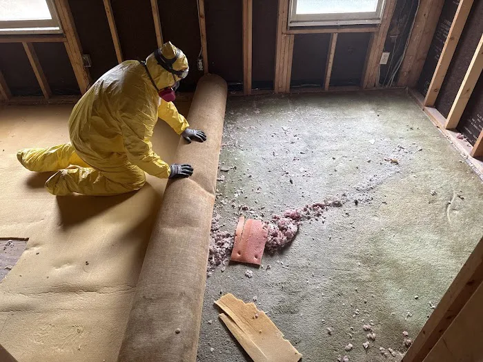 PALM BUILD Picture 6