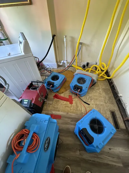 PALM BUILD Picture 8