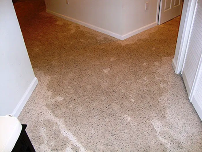 Emergency Flood Services Picture 5