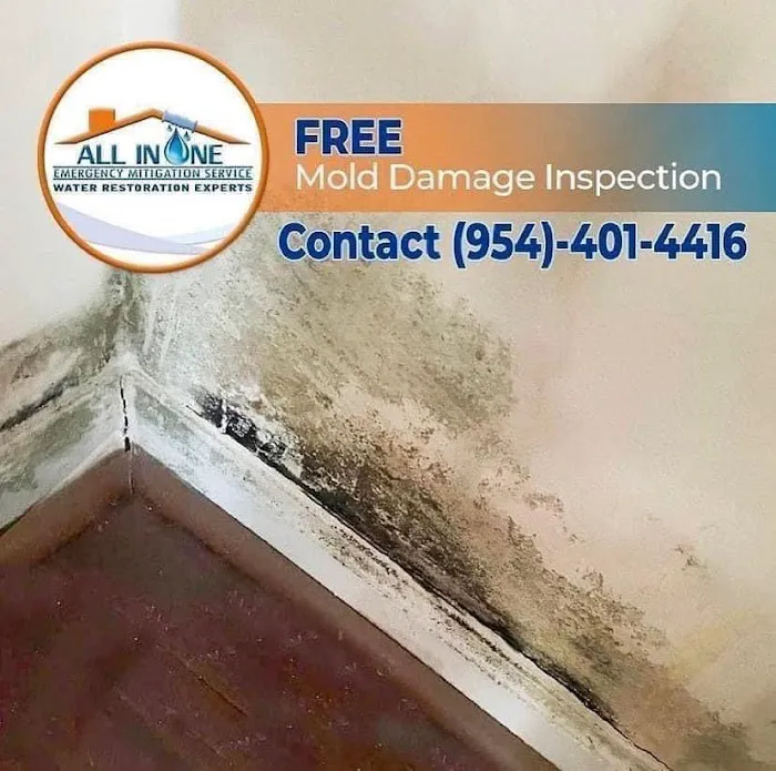 All In One Emergency Mitigation Service Picture 8