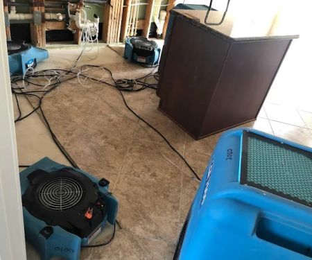 Apex Damage Restoration Pompano Beach