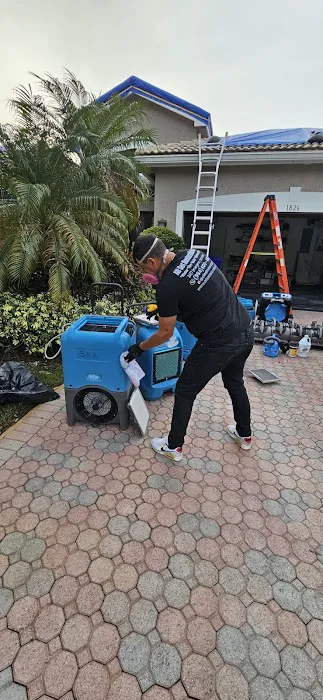 All Set Restorations Picture 8