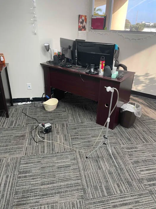 Mold Solutions Picture 3