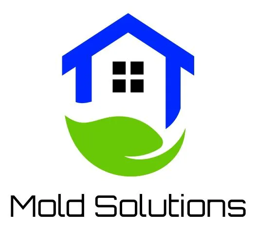 Mold Solutions Picture 5