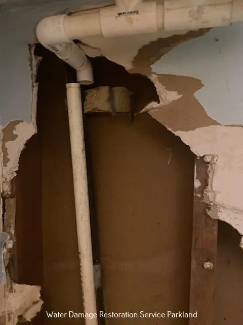 All Dry Services of Parkland Picture 2