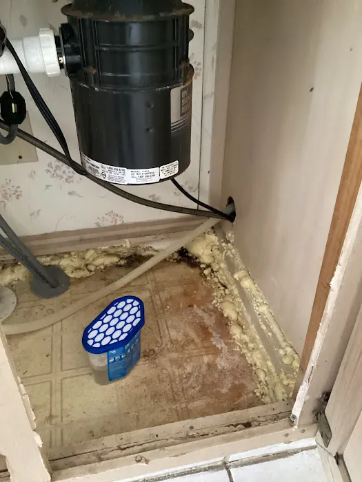 All Dry Services of Parkland Picture 5