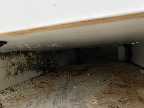 All Dry Services of Parkland Picture 8