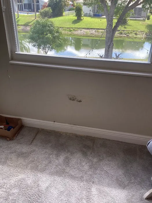 All Dry Services of Parkland Picture 10