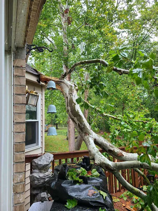 All Claims Repairs Picture 6