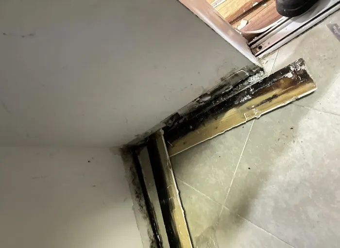 AAA Water Restoration Picture 2