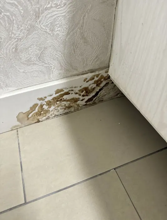 AAA Water Restoration Picture 8